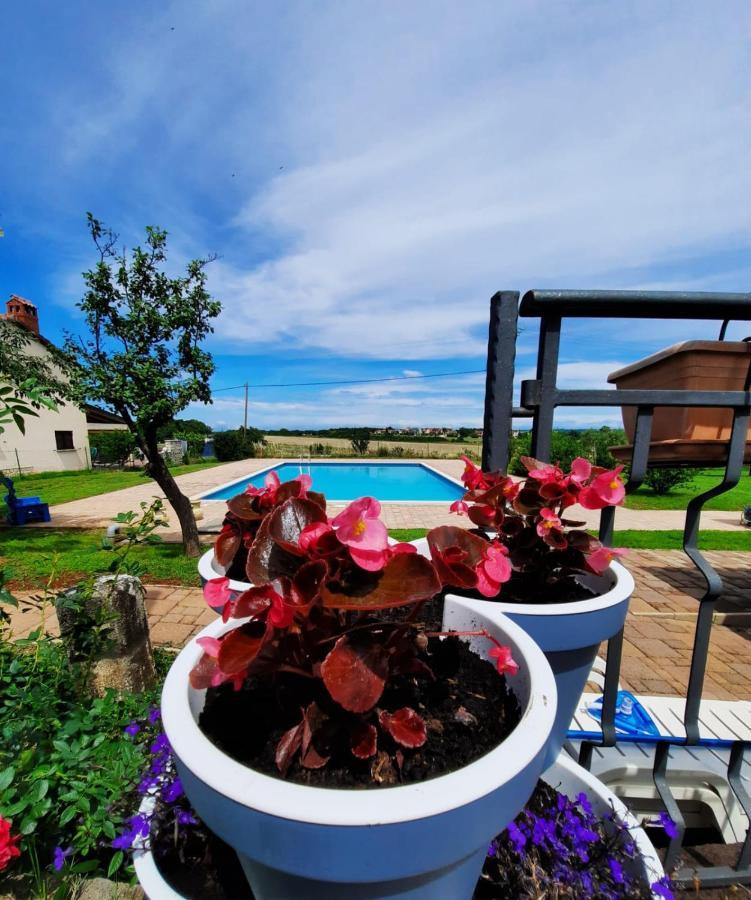 Moratto'S Apartments Umag Exteriér fotografie